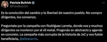 El posteo de Bullrich contra Carrió