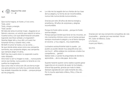 El posteo de despedida de José María Pan, el papá de Delfina
