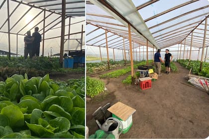 “Al carajo con el libre mercado”: un intendente K quiso promocionar verduras orgánicas, pero una foto reveló otra cosa “Al carajo con el libre mercado”: un intendente K quiso promocionar verduras orgánicas, pero una foto reveló otra cosa