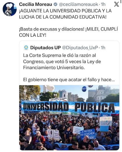 El posteo de la diputada de UxP Cecilia Moreau