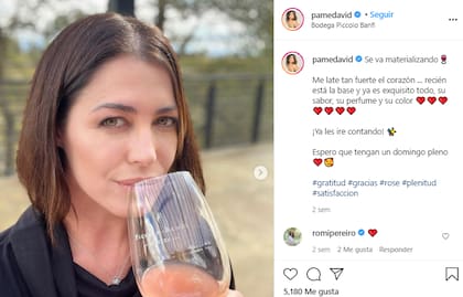 El posteo de Pamela David promocionando su nuevo vino