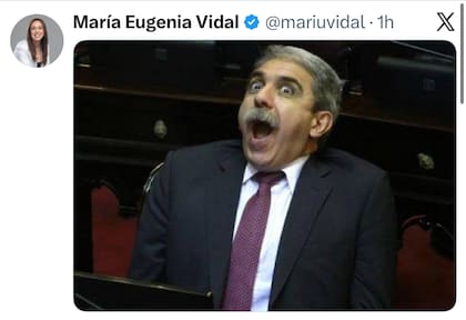 El posteo de Vidal tras conocer las acusaciones de Sergio Schoklender