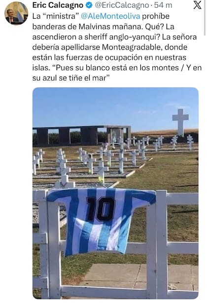 El posteo del exsenador Eric Calcagno