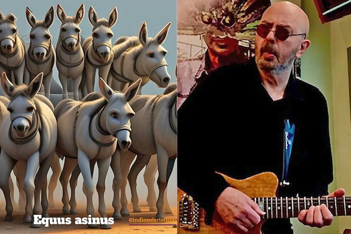 El posteo del Indio Solari