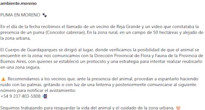El posteo sobre la aparición del puma en Moreno de la Secretaría de Ambiente del municipio