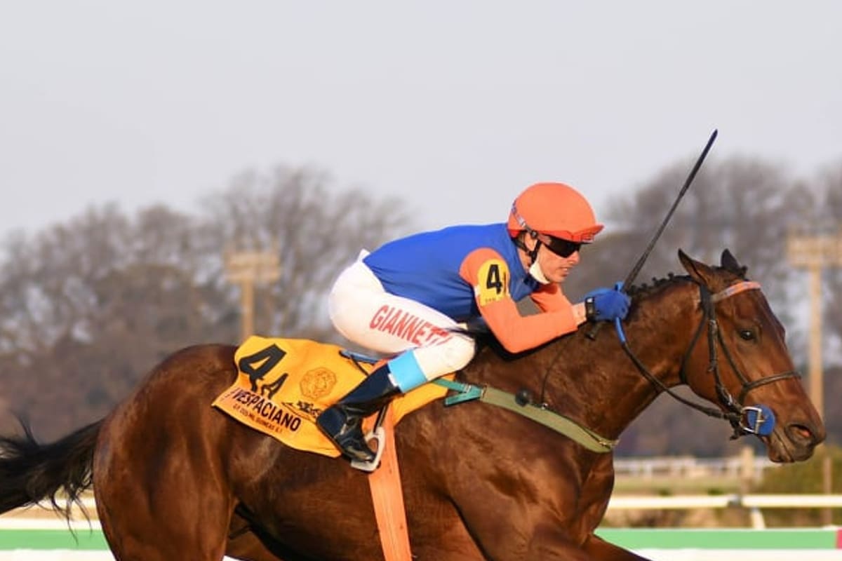 El potrillo Vespaciano, con Adrián Giannetti, ganó sus primeras tres carreras antes de perder el invicto en el Jockey Club (G1); tendrá su primer desafío ante los mayores