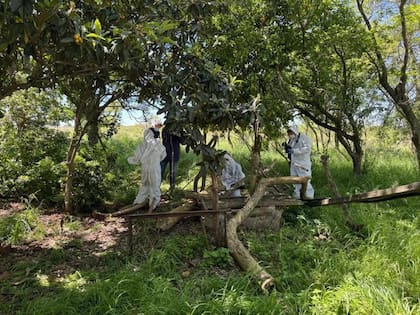 El pozo de agua en una propiedad de la localidad de General Mansilla, en el centro de Entre Ríos, donde fue hallado el cadáver de Daiana Mendieta