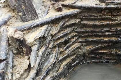 El pozo de madera sobrevivió miles de años bajo tierra hasta que lo descubrieron en medio de una obra en construcción
