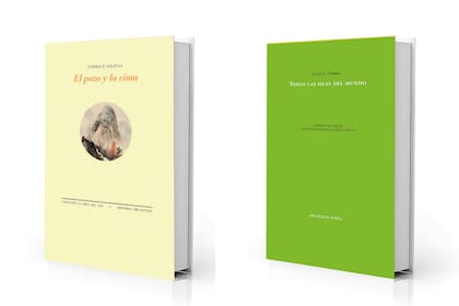 "El pozo y la cima", de Enrique Solinas, y "Todas las islas del mundo", de Julio C. Torres, lanzados por Pre-Textos