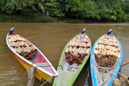 El precio de balsa se triplicó durante la fiebre de extracción de 2019 y 2020