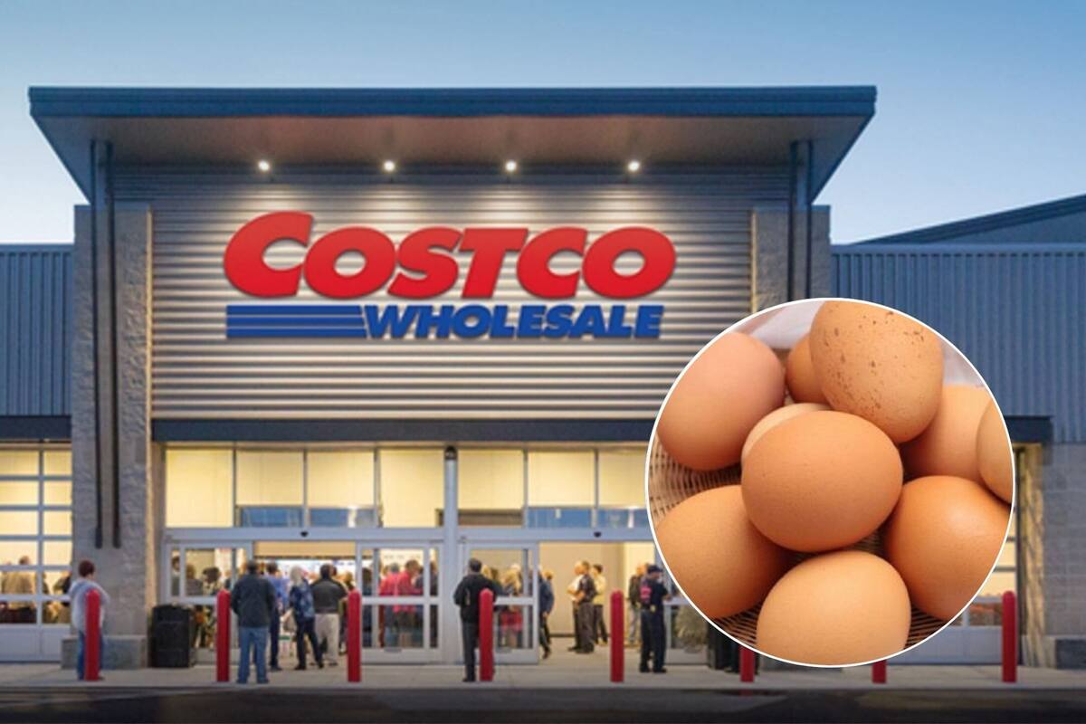 El precio de los huevos en Costco