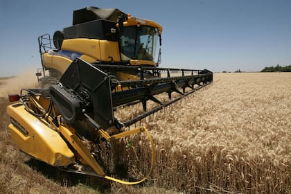 Según el Gobierno, la cosecha 2019/2020 finalizará en 19 millones de toneladas