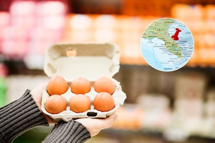 El precio promedio de una docena de huevos en Estados Unidos alcanzó US$3,37 en octubre de 2024, un incremento del 63% respecto al año anterior
