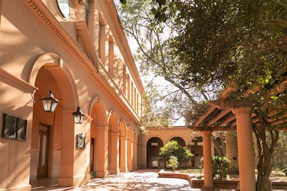 El precioso patio de colegio con variedad de árboles y aves.