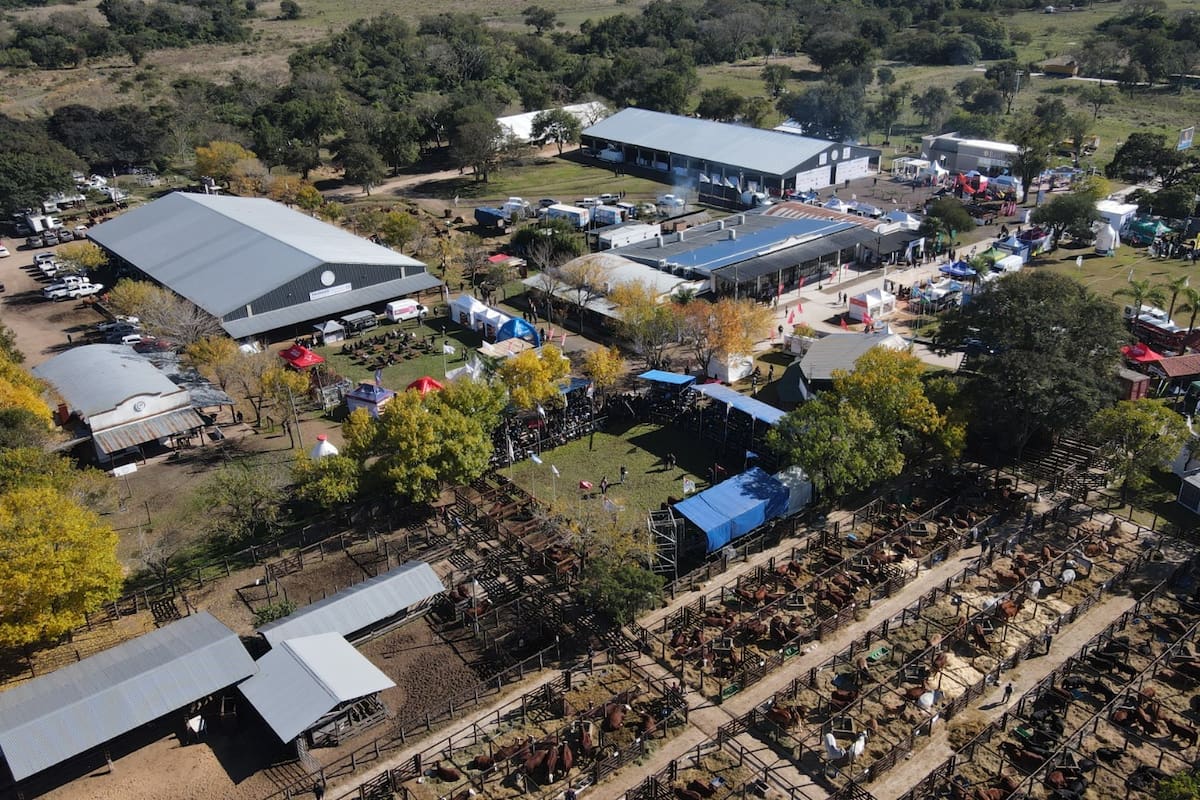 El predio de la Sociedad Rural de Corrientes donde se hará la muestra
