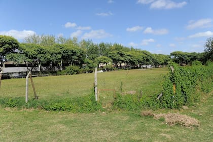 Los espacios forman parte del parque La Isla de la Paternal y para los vecinos de la zona son el eje de la resistencia al emprendimiento inmobiliario