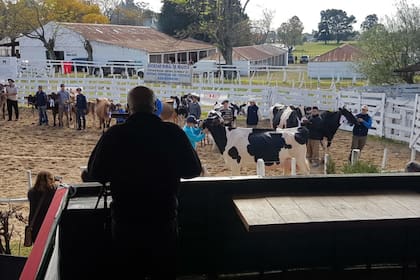 El predio que busca expropiar el funcionario peronista tiene ocho hectáreas e instalaciones donde se realizan remates de hacienda