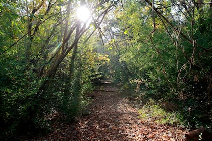 El predio se ubica a lo largo de la calle Almirante Brown, entre las vías del Tren de la Costa y el río