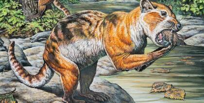 El prehistórico animal tenía el cuerpo similar al de un mapache.