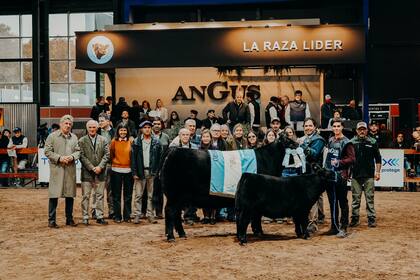 El premio Gran Campeón Hembra Negra correspondió al Box 313, de cabaña Tres Marías