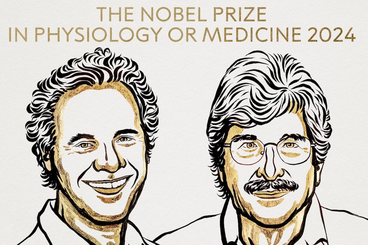 El Premio Nobel en Medicina fue otorgado a Victor Ambros y Gary Ruvkun por el descubrimiento del microARN y su papel en la regulación genética postranscripcional.