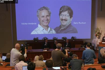El Premio Nobel en Medicina fue otorgado a Victor Ambros y Gary Ruvkun por el descubrimiento del microARN y su papel en la regulación genética postranscripcional
