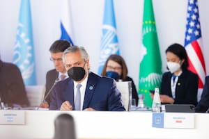 El presidente Alberto Fernández durante el discurso ante el plenario del G20.