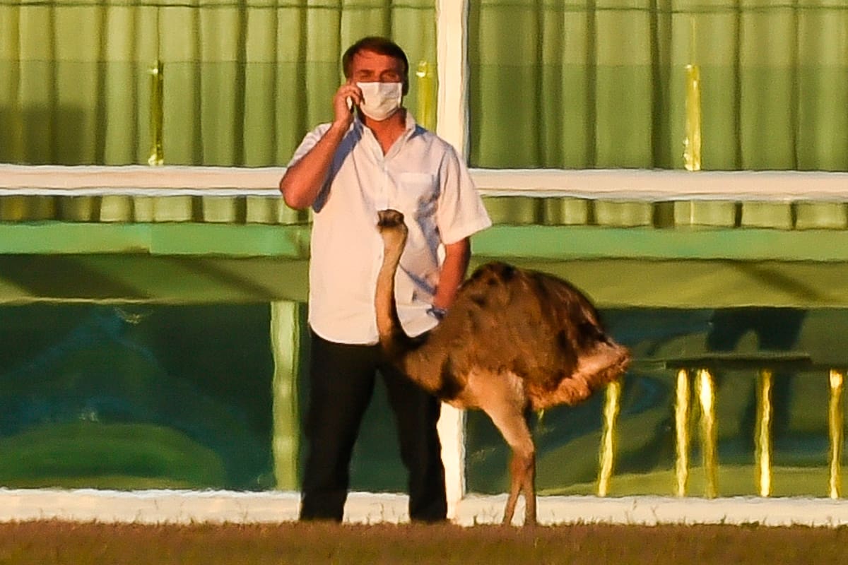 El presidente de Brasil, Jair Bolsonaro, habla por teléfono móvil junto a un emú frente al Palacio Alvorada en Brasilia
