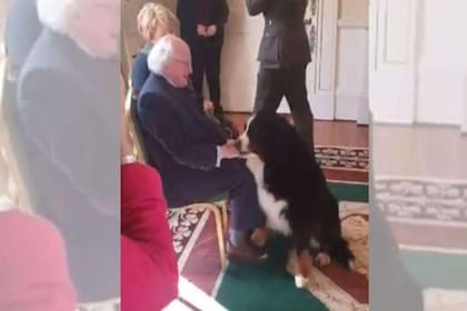El presidente de Irlanda junto a su perro