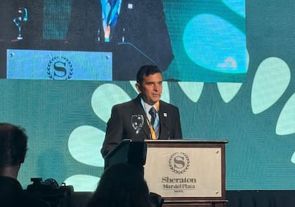 El presidente de la Asociación Argentina de Girasol (Asagir), Juan Martín Salas Oyarzun