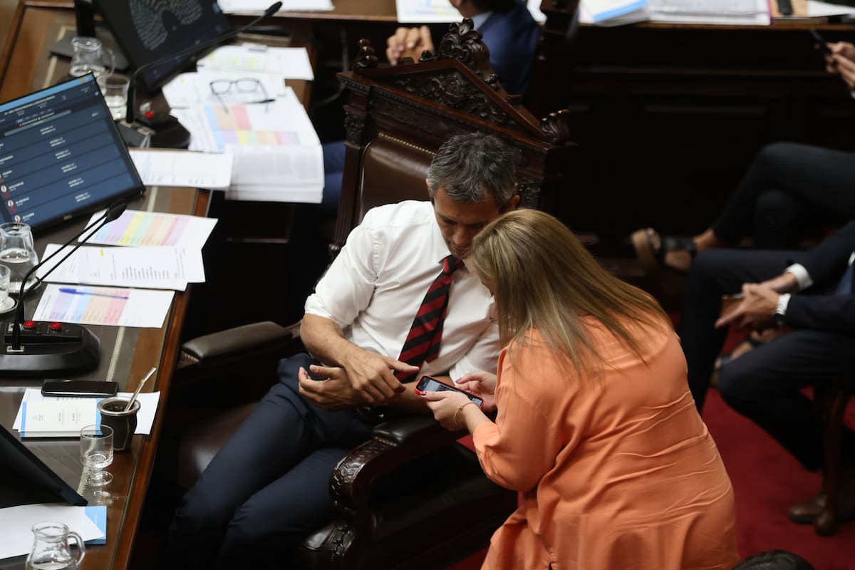 El presidente de la Cámara de Diputados, Martín Menem, y la legisladora massista Cecilia Moreau, durante la sesión