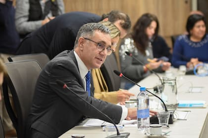 El presidente de la comisión de Educación, Alejandro Finocchiaro