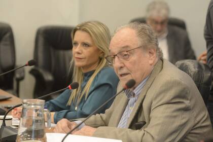 El presidente de la comisión de Presupuesto, Carlos Heller, junto a Claudia Ballestrini, subsecretaria de Ingresos Públicos