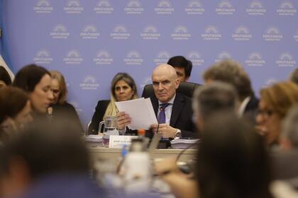 El presidente de la comisión de Presupuesto de Diputados, José Luis Espert