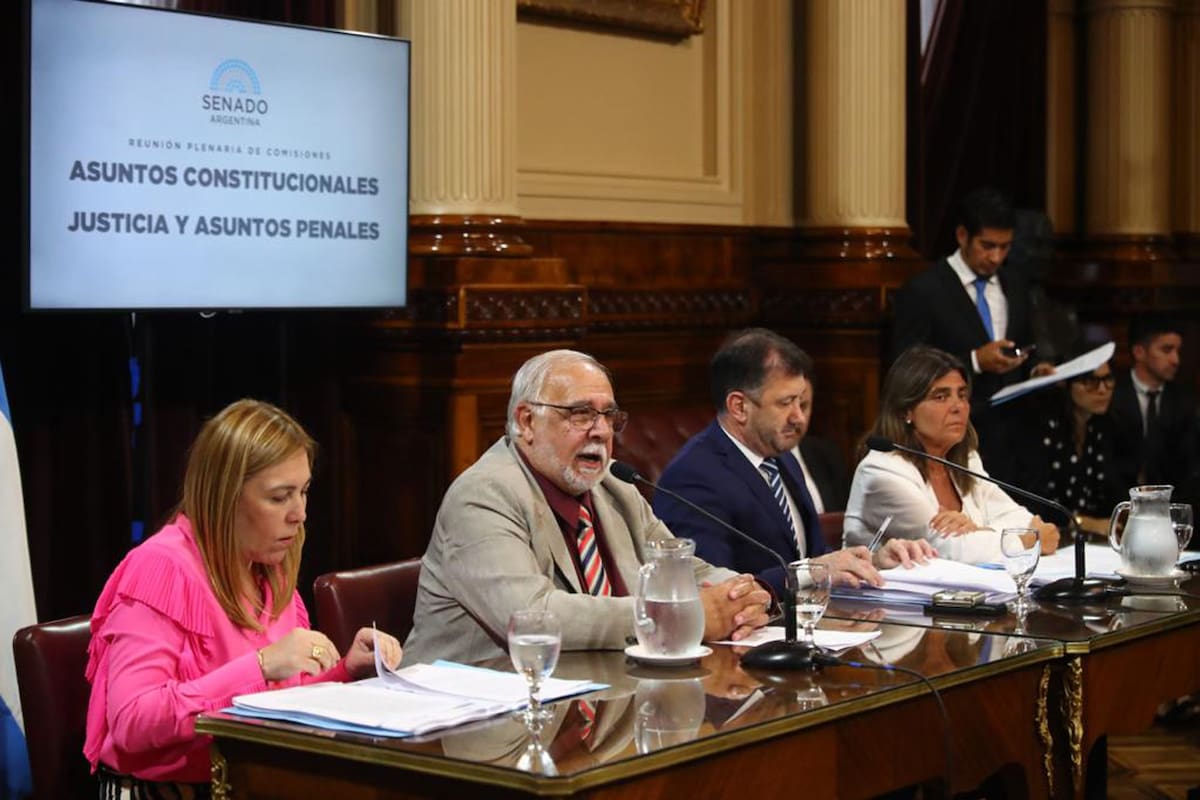 El presidente de la Comisión de Trámite Legislativo, Juan Carlos Pagotto