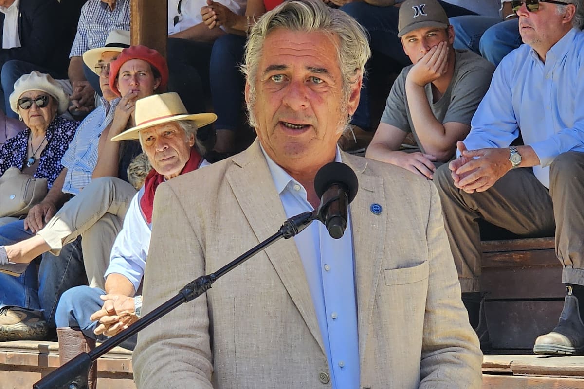 El presidente de la Sociedad Rural Argentina, Nicolás Pino, en el acto inaugural de la Exposición Rural de Junín de los Andes