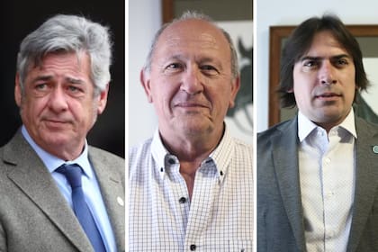 El presidente de la SRA, Nicolás Pino; el presidente de CRA, Carlos Castagnani; el presidente de Coninagro, Lucas Magnano, destacaron la labor del Congreso en la aprobación de la Ley de Modernización Laboral