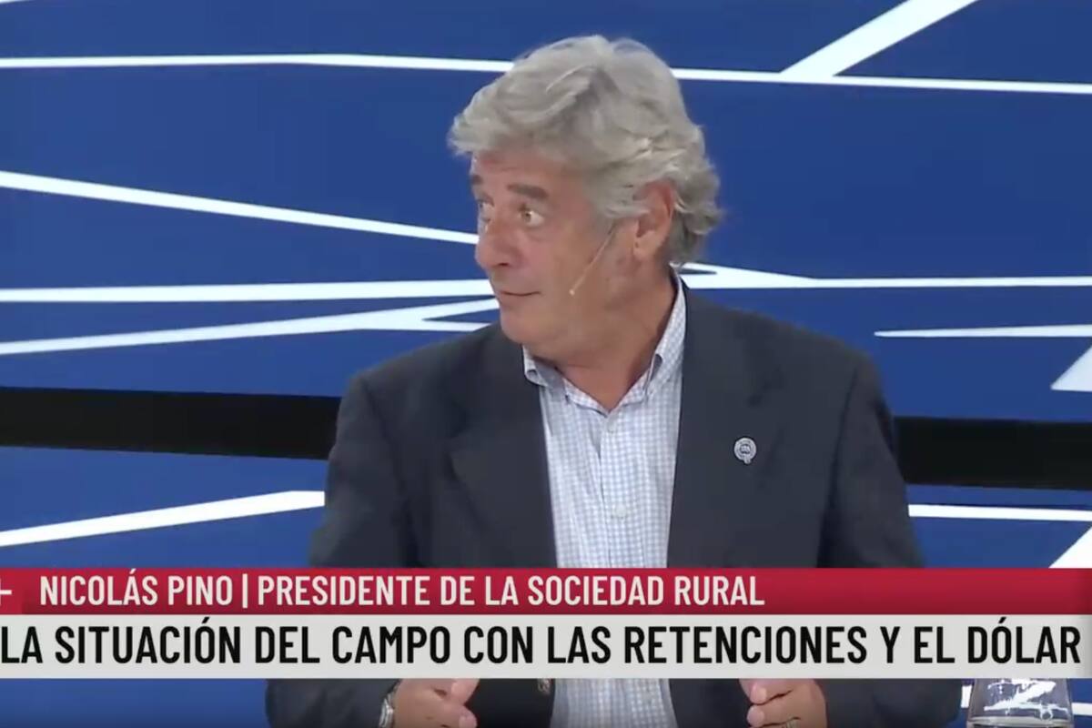 El presidente de la SRA, Nicolás Pino en LN+