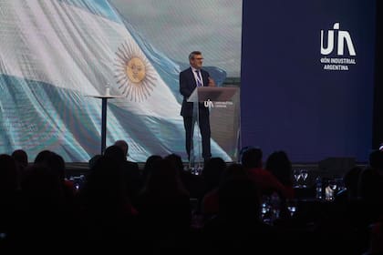 El presidente de la Unión Industrial Argentina (UIA), Martín Rappallini
