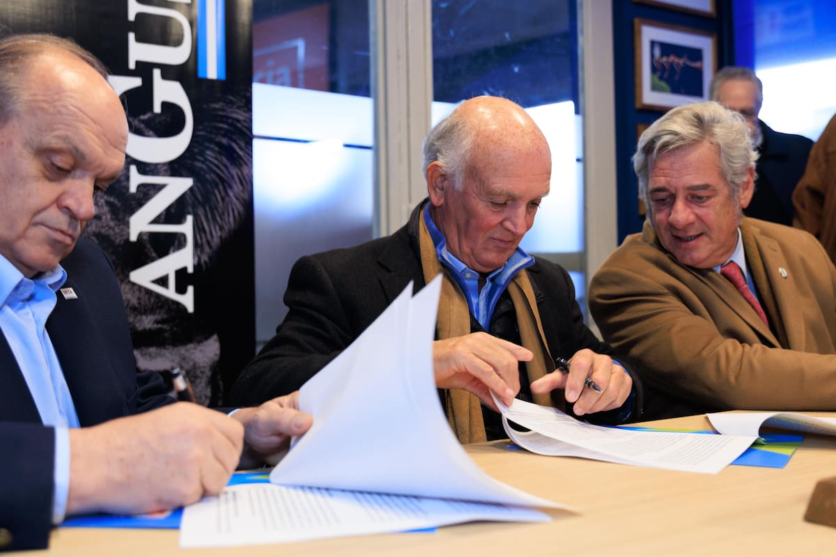 El presidente del INTA, Nicolás Bronzovich; el presidente de la Asociación Argentina de Angus, Alfonso Bustillo, y el presidente Nicolás Pino