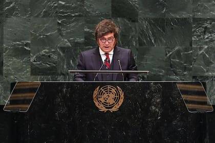 El Presidente, durante su discurso ante la Asamblea de la ONU, en Nueva York