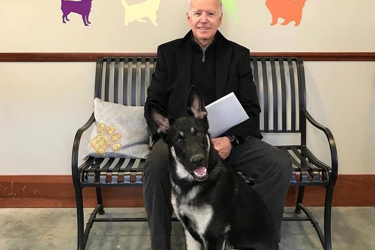 El presidente electo de Estados Unidos, Joe Biden, junto a su perro con Major