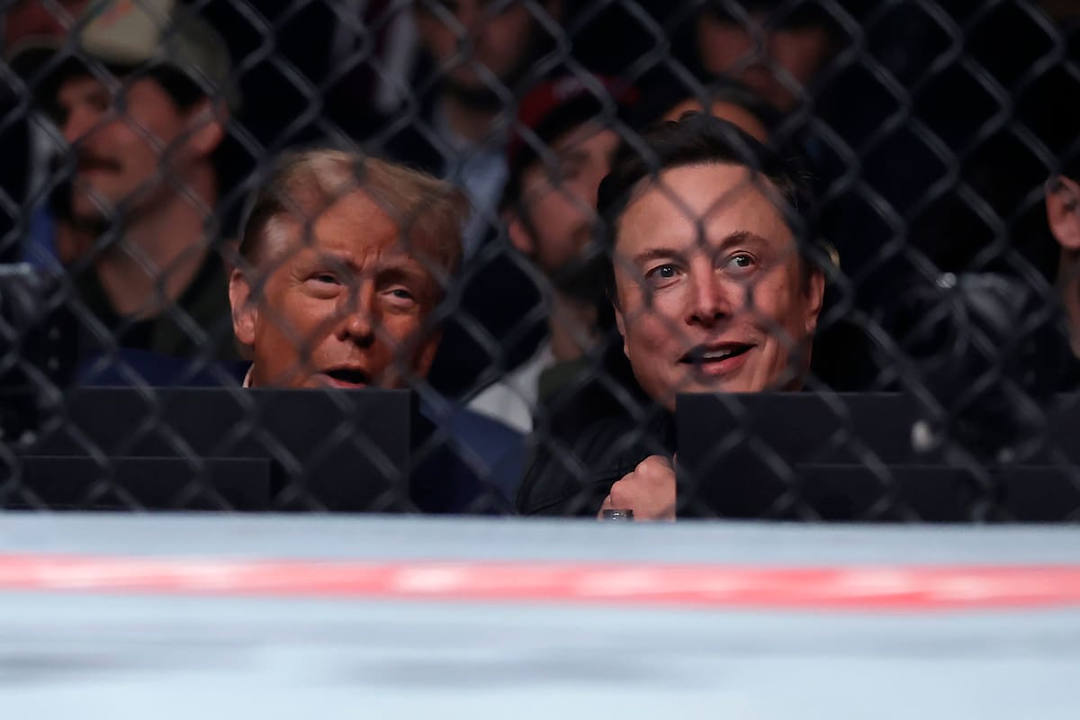 El presidente electo Donald Trump y el multimillonario Elon Musk en el evento de artes marciales en el Madison Square Garden de Nueva York el 16 de noviembre del 2024. (AP foto/Adam Hunger)