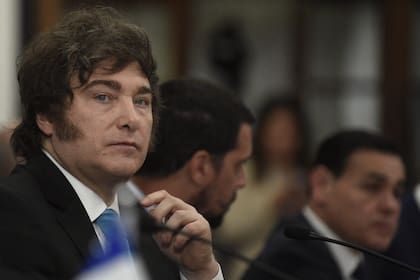 El presidente Javier Milei