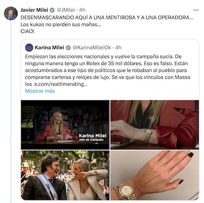 El presidente Javier Milei calificó a David de “mentirosa y operadora” en su cuenta de X