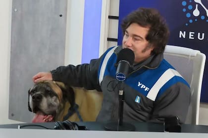 El presidente Javier Milei, con el mameluco de YPF, y uno de sus perros