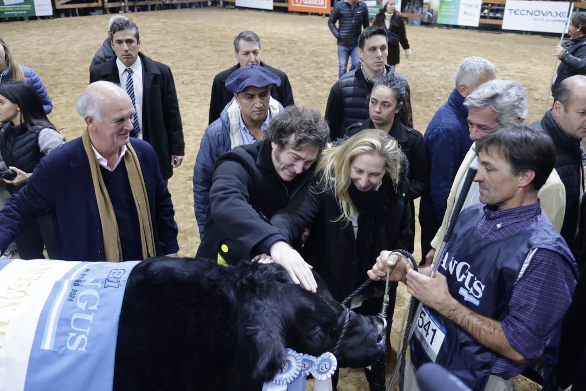 El presidente Javier Milei en la consagración del Gran Campeón Macho de la raza Angus