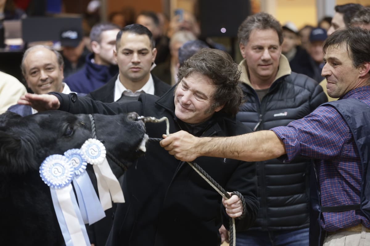 El presidente Javier Milei en la última Exposición Angus de Otoño que se hizo en mayo en la Rural