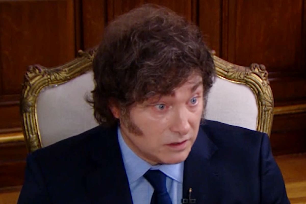 El presidente Javier Milei en una entrevista que le brindó a LN+