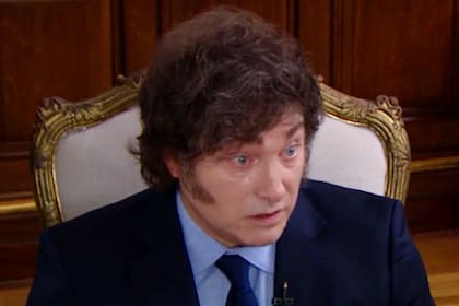 El presidente Javier Milei en una entrevista que le brindó a LN+